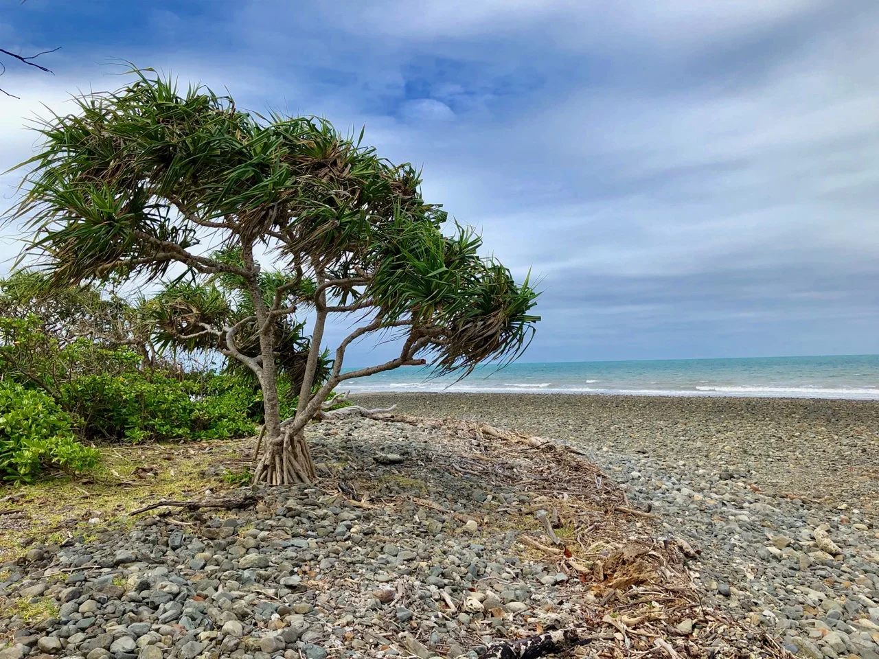 Port Douglas 2018 - 89 of 134.jpg