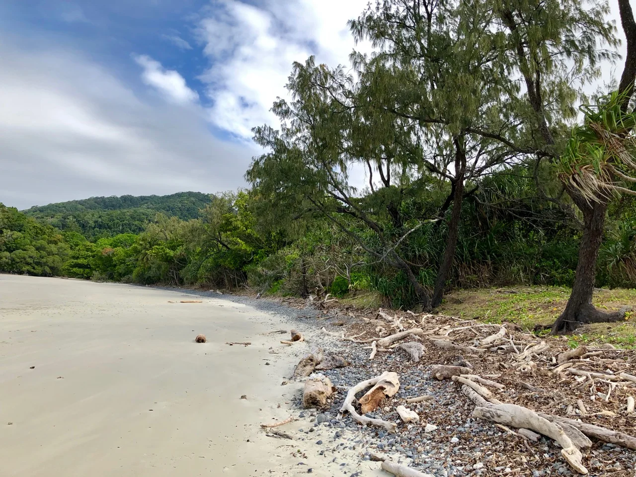 Port Douglas 2018 - 92 of 134.jpg