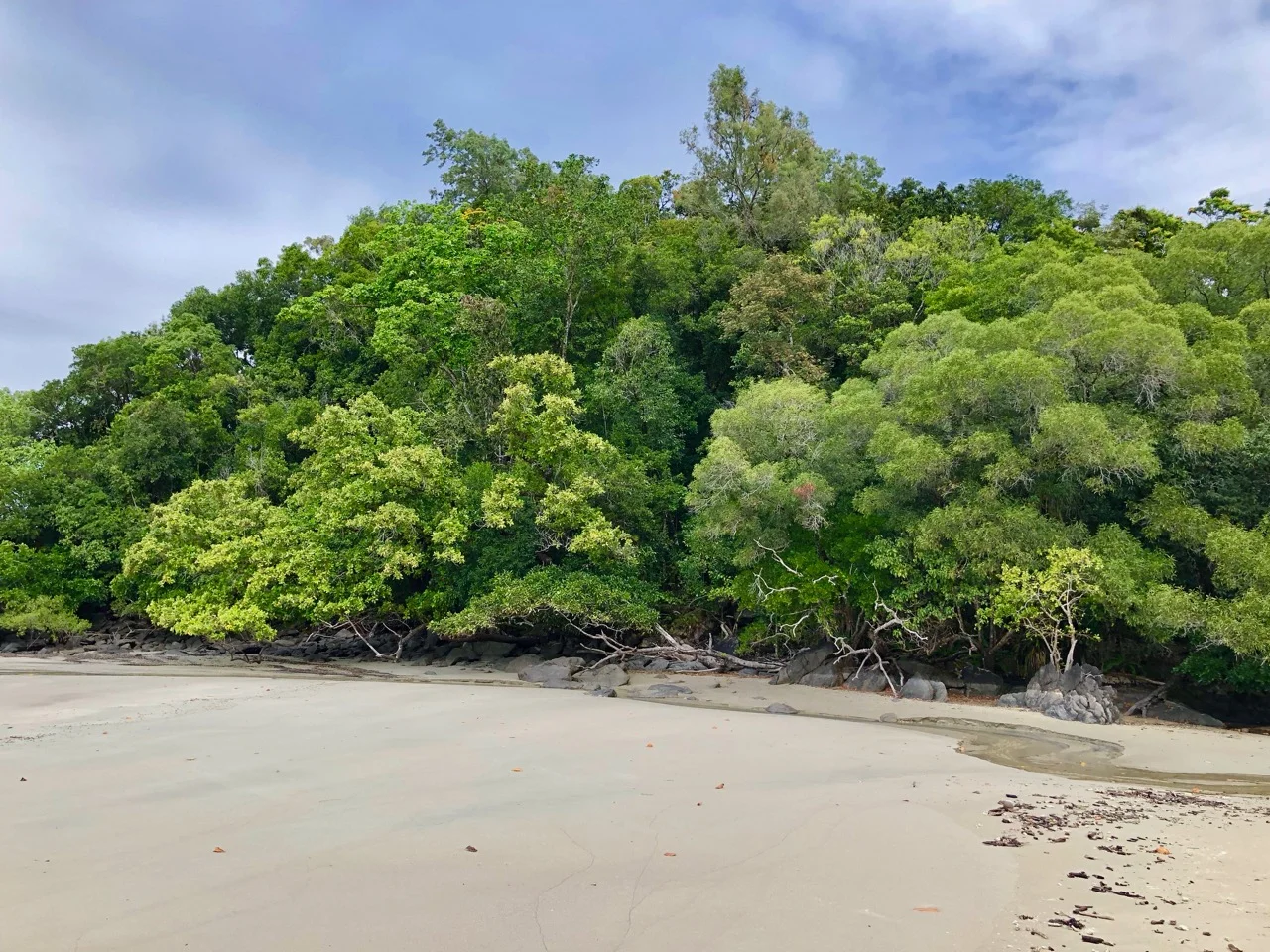 Port Douglas 2018 - 93 of 134.jpg