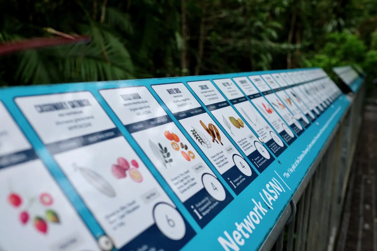 Port Douglas 2018 - 34 of 134.jpg