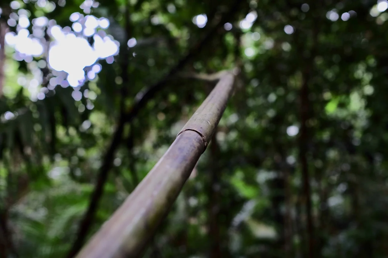 Port Douglas 2018 - 47 of 134.jpg