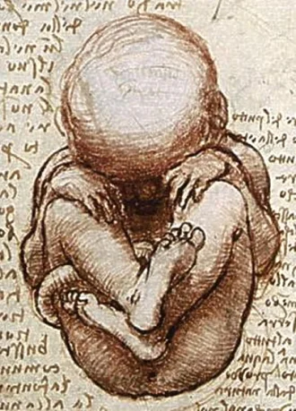Picture: Detail from "Views of a Foetus in the Womb," a drawing by Leonardo da Vinci. Public domain via Wikimedia.
Normal
0
false
false
false
EN-US
X-NONE
X-NONE
/* Style Definitions */
table.MsoNormalTable
{mso-style-name:"Table Normal";
mso-tstyle-rowband-size:0;
mso-tstyle-colband-size:0;
mso-style-noshow:yes;
mso-style-priority:99;
mso-style-parent:"";
mso-padding-alt:0in 5.4pt 0in 5.4pt;
mso-para-margin-top:0in;
mso-para-margin-right:-1.0in;
mso-para-margin-bottom:10.0pt;
mso-para-margin-left:0in;
line-height:115%;
mso-pagination:widow-orphan;
font-size:17.0pt;
font-family:"Georgia","serif";}