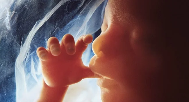 Religious Left returns to RFRA: Washington Post explores a crucial Florida abortion showdown