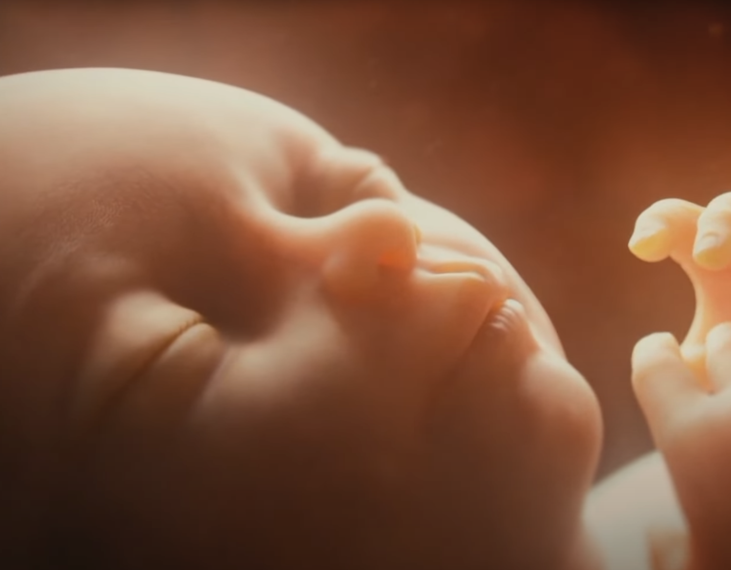 Podcast: Talking fetus scene in 'Blonde' has created another media storm about abortion
