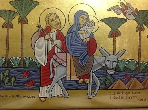 Yes, Protestants disagree with the ancient churches on the status of the siblings of Jesus
