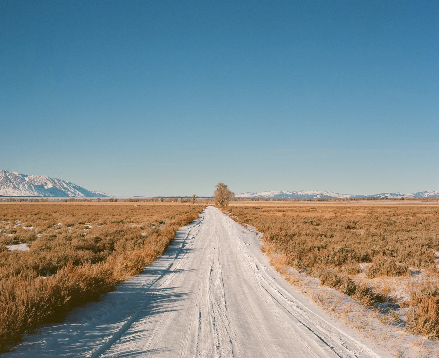 The Road to Mormon Row.jpg