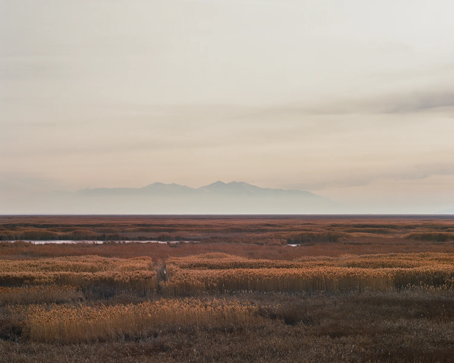 Shorelands #5.jpg