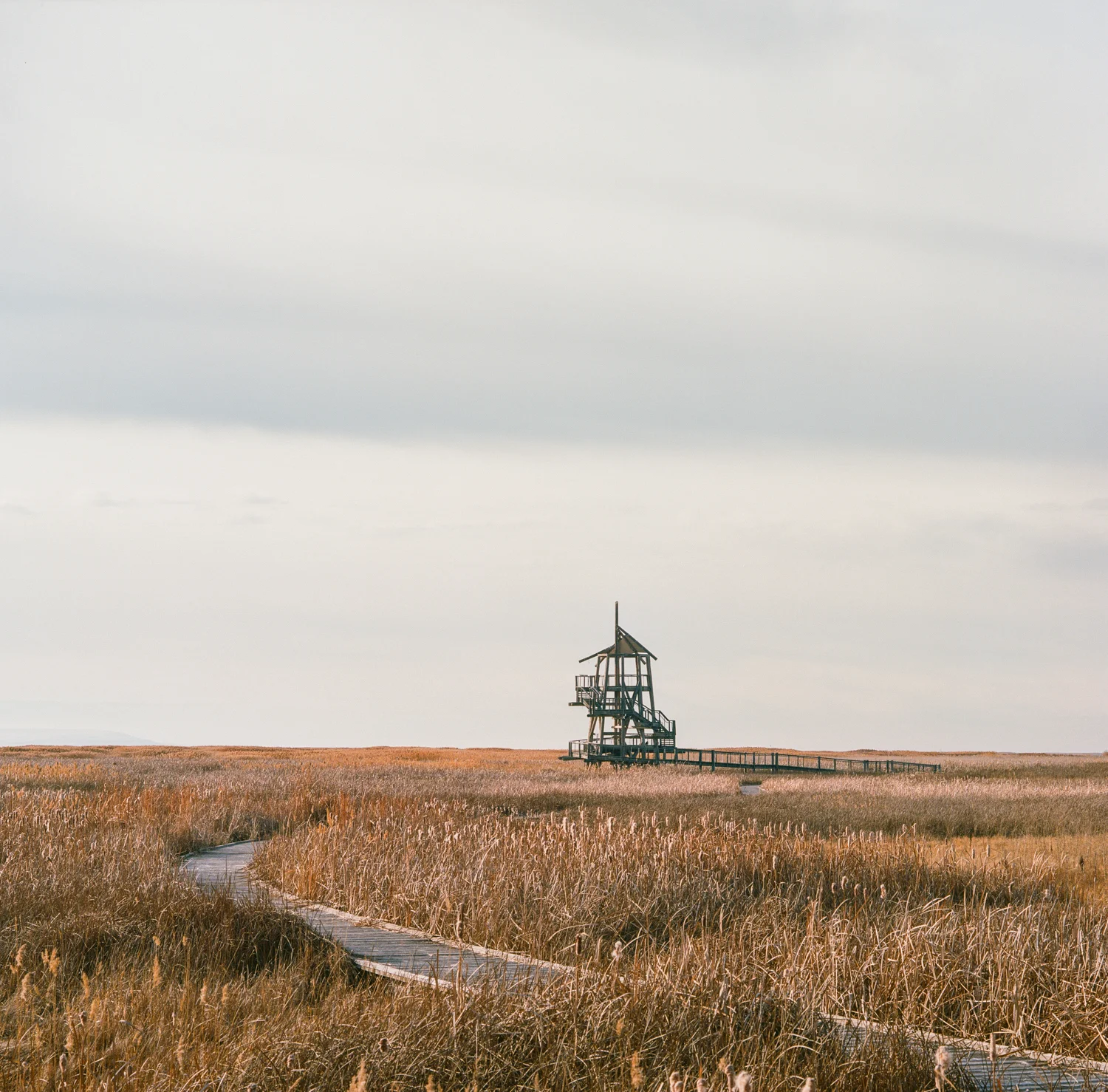 Landlocked Nautilism.jpg