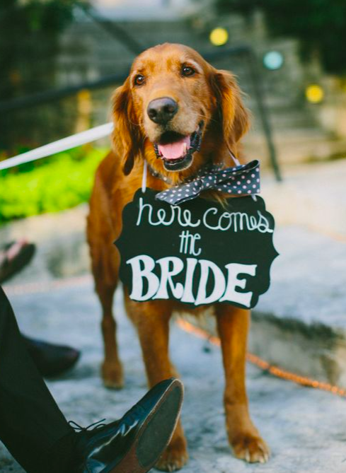 Image Credit: Lake Side Gardens Events