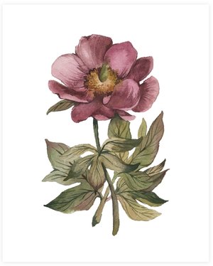 image source: wildfield paper co