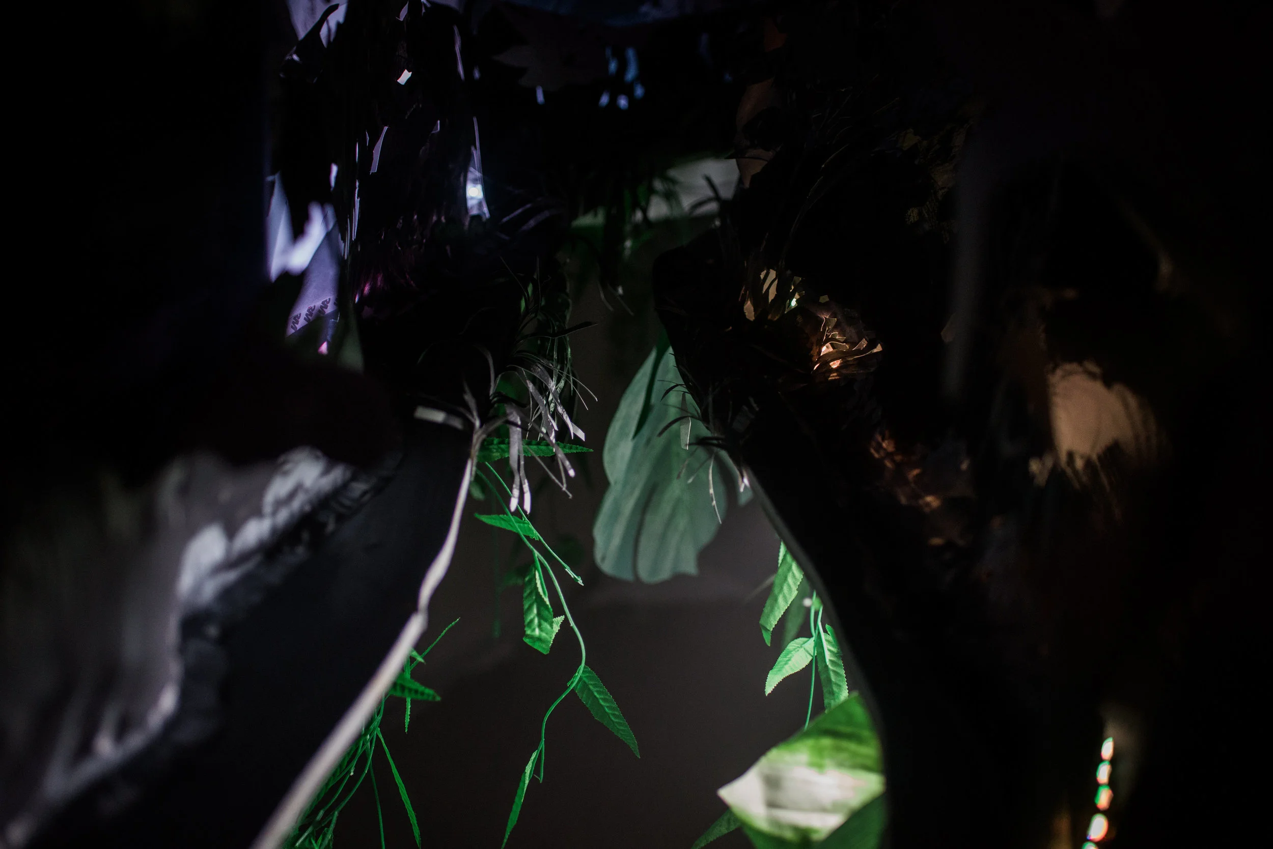 EileenMenyPhotography_HeartofDarkness-21.jpg