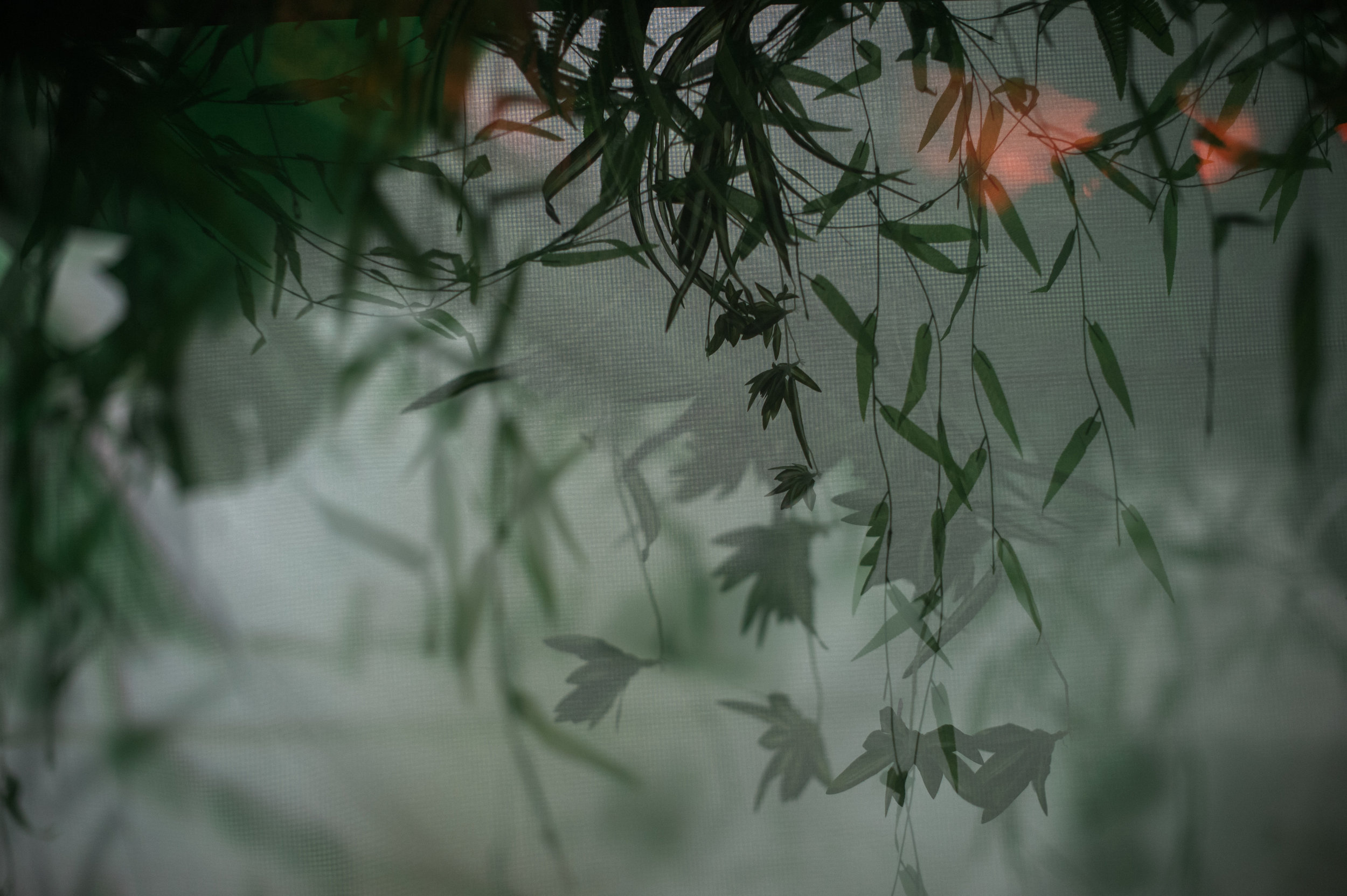 EileenMenyPhotography_HeartofDarkness-24.jpg