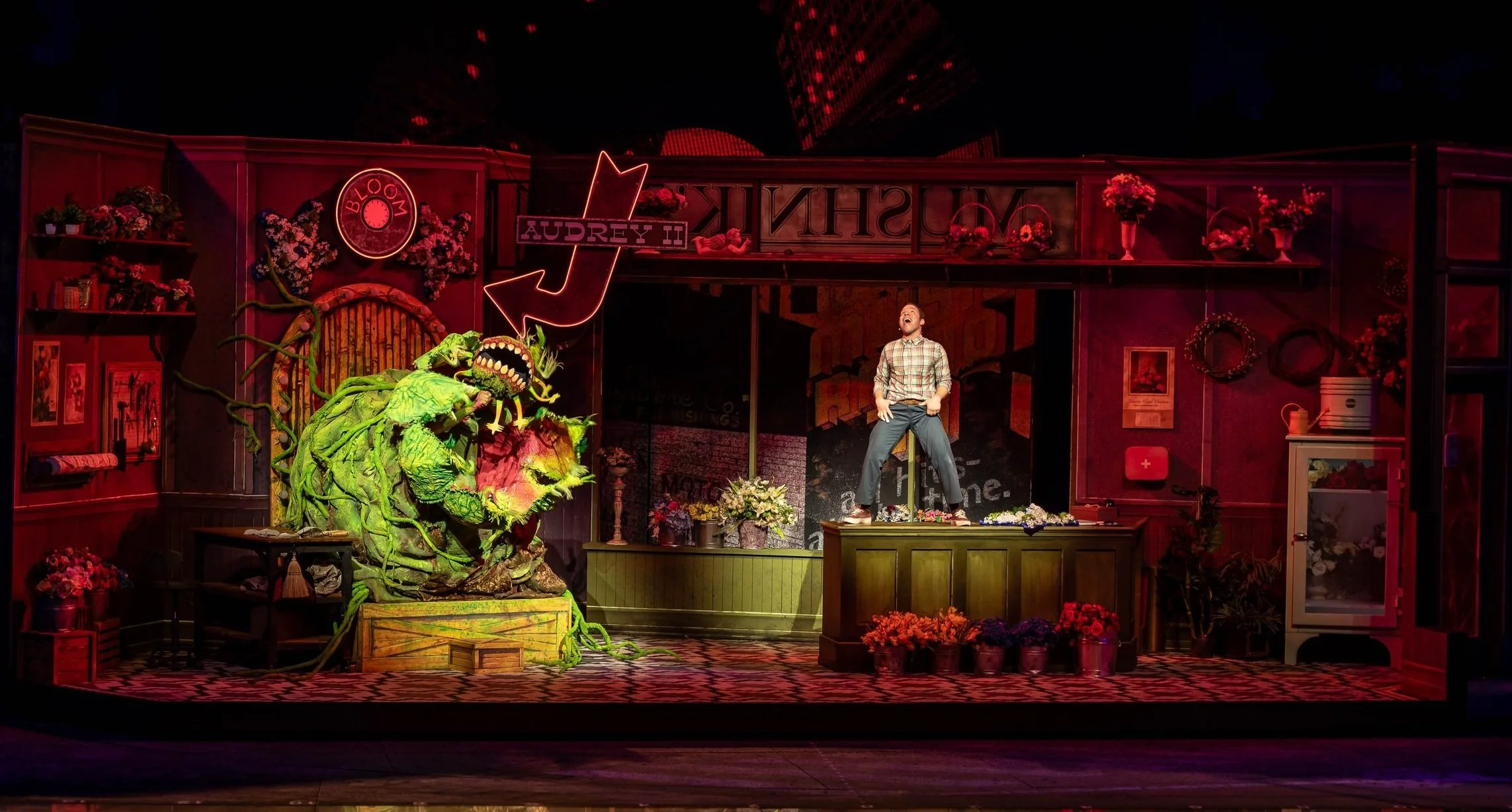 047LITTLESHOP_PRODUCTION_EXPORTS_8177.jpg