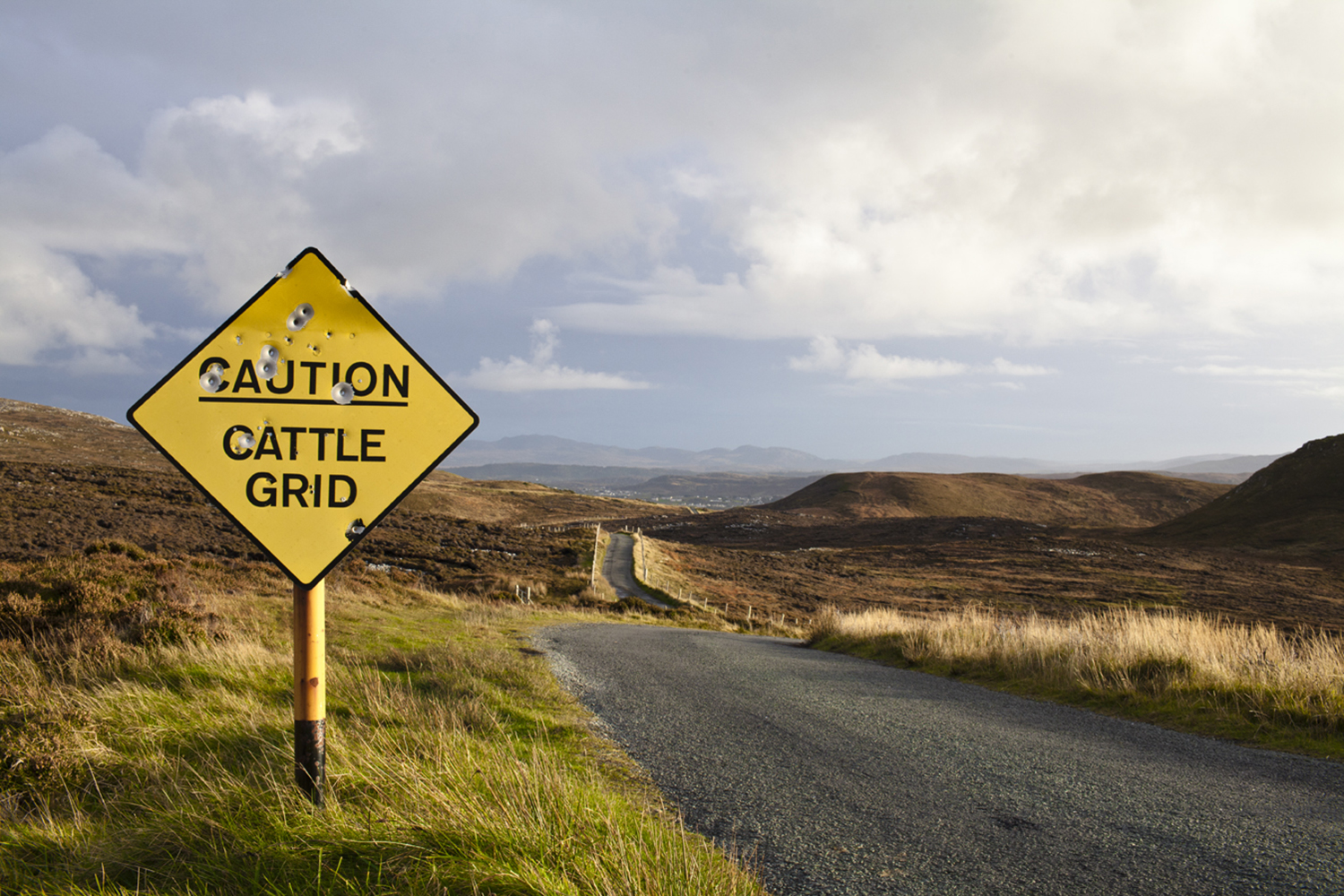 lifestyle-editorial-travel-washington-dc-malek-naz-photography-ireland-cattle-crossing-sign.jpg