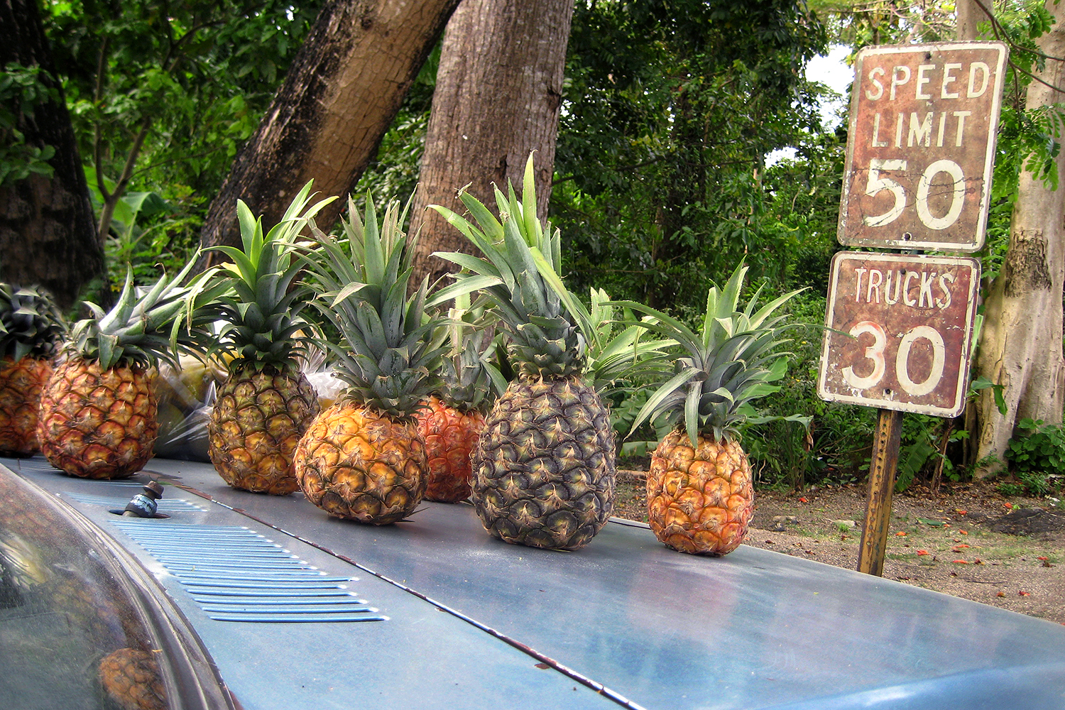 lifestyle-editorial-travel-washington-dc-malek-naz-photography-pineapples-jamacia.jpg