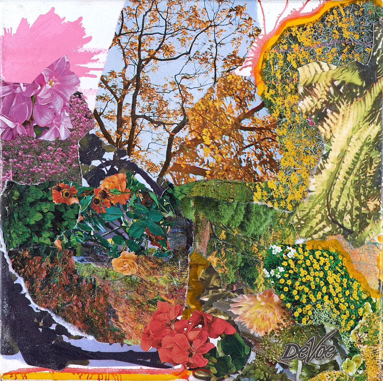 Mangroves 2