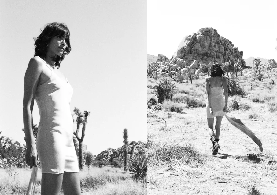4JoshuaTree.jpg