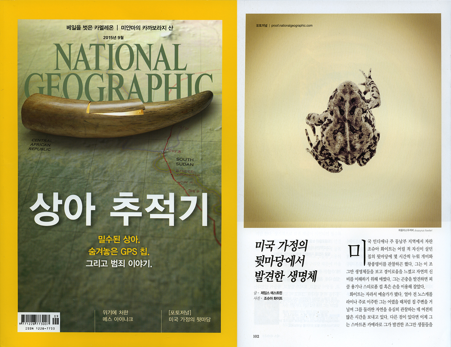 6 Joshua White - National Geographic Korea.jpg