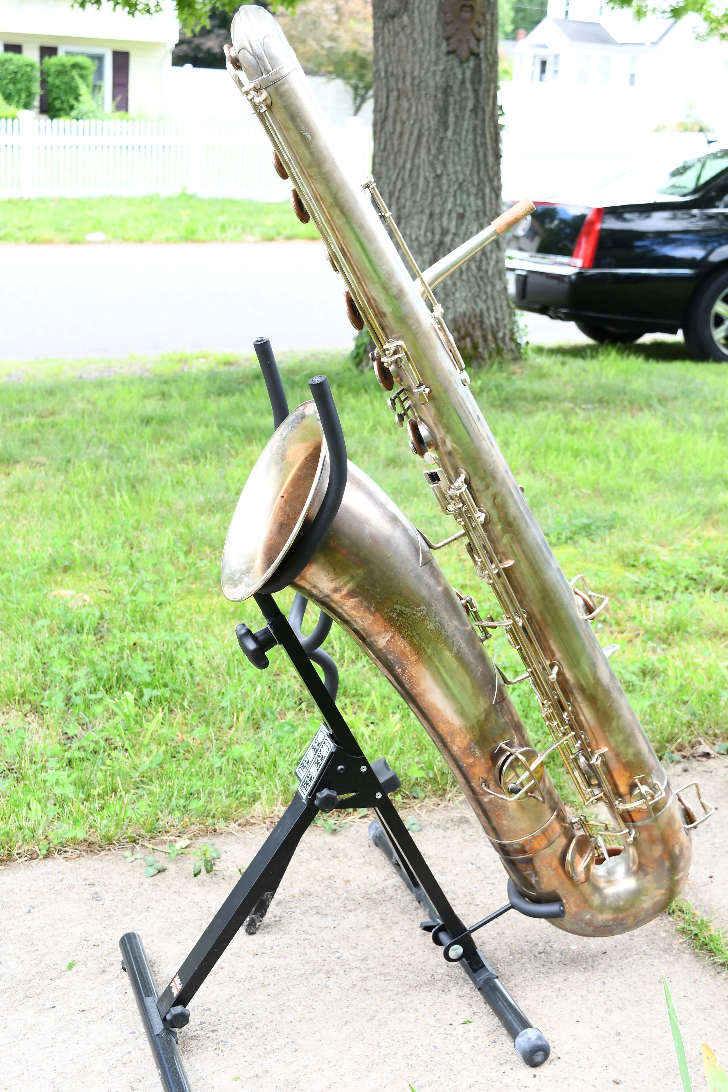 DSC_6942.JPG