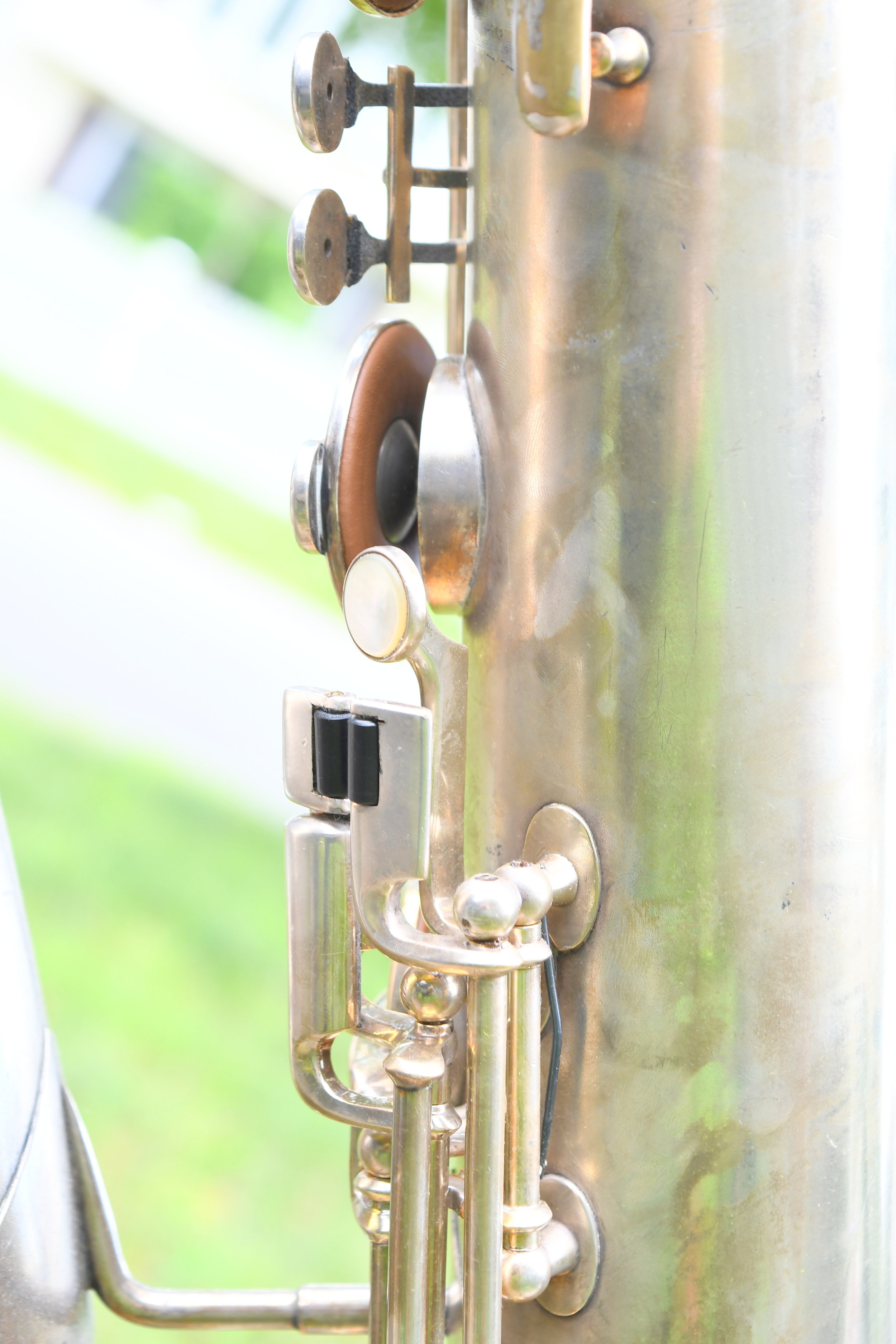 DSC_6965.JPG