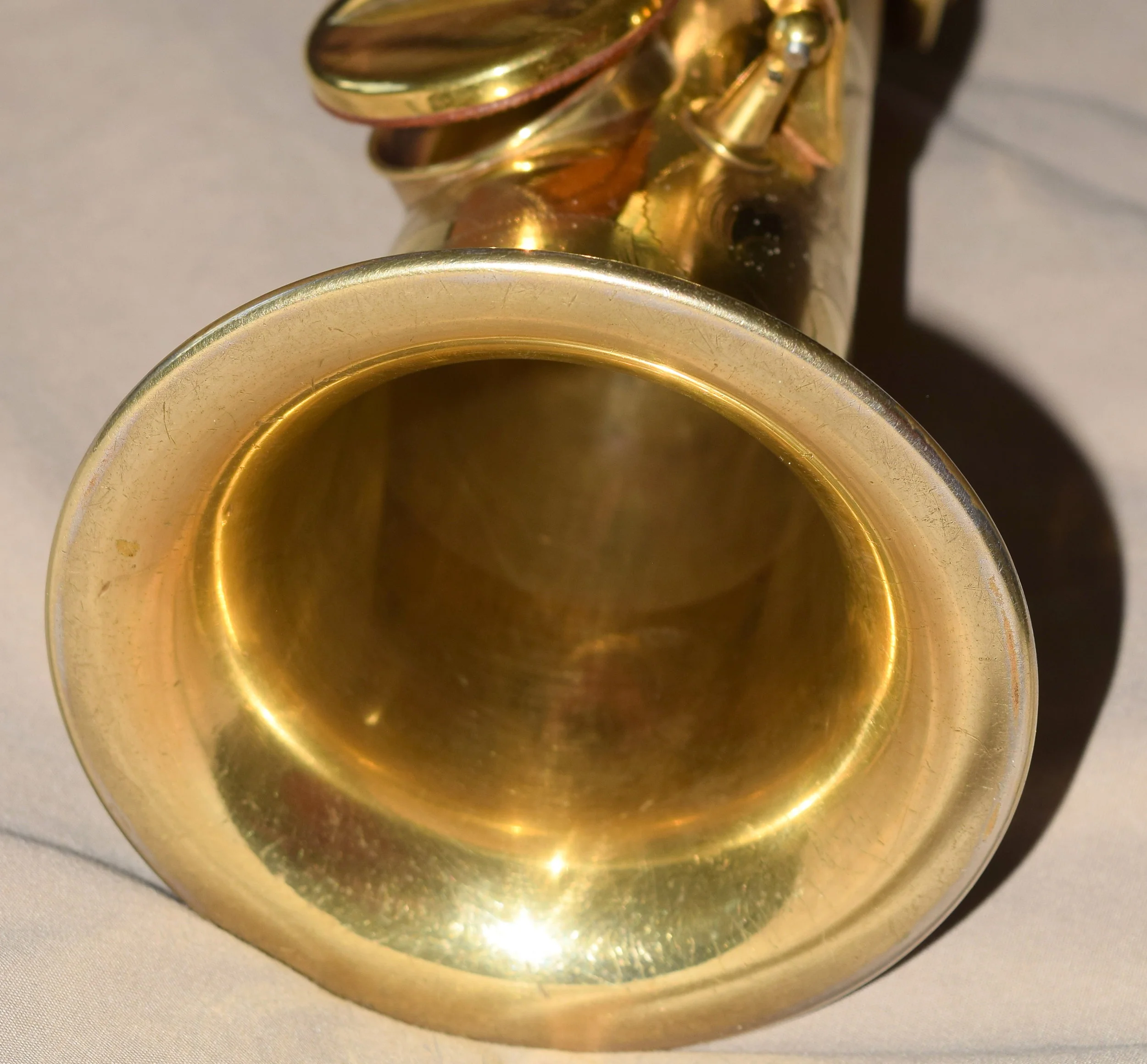 DSC_0006.JPG