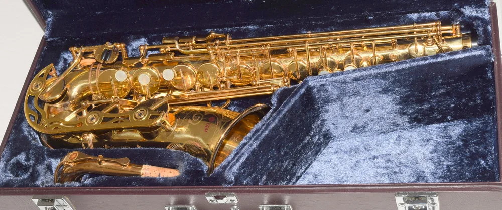 DSC_0026.JPG?format=1000w