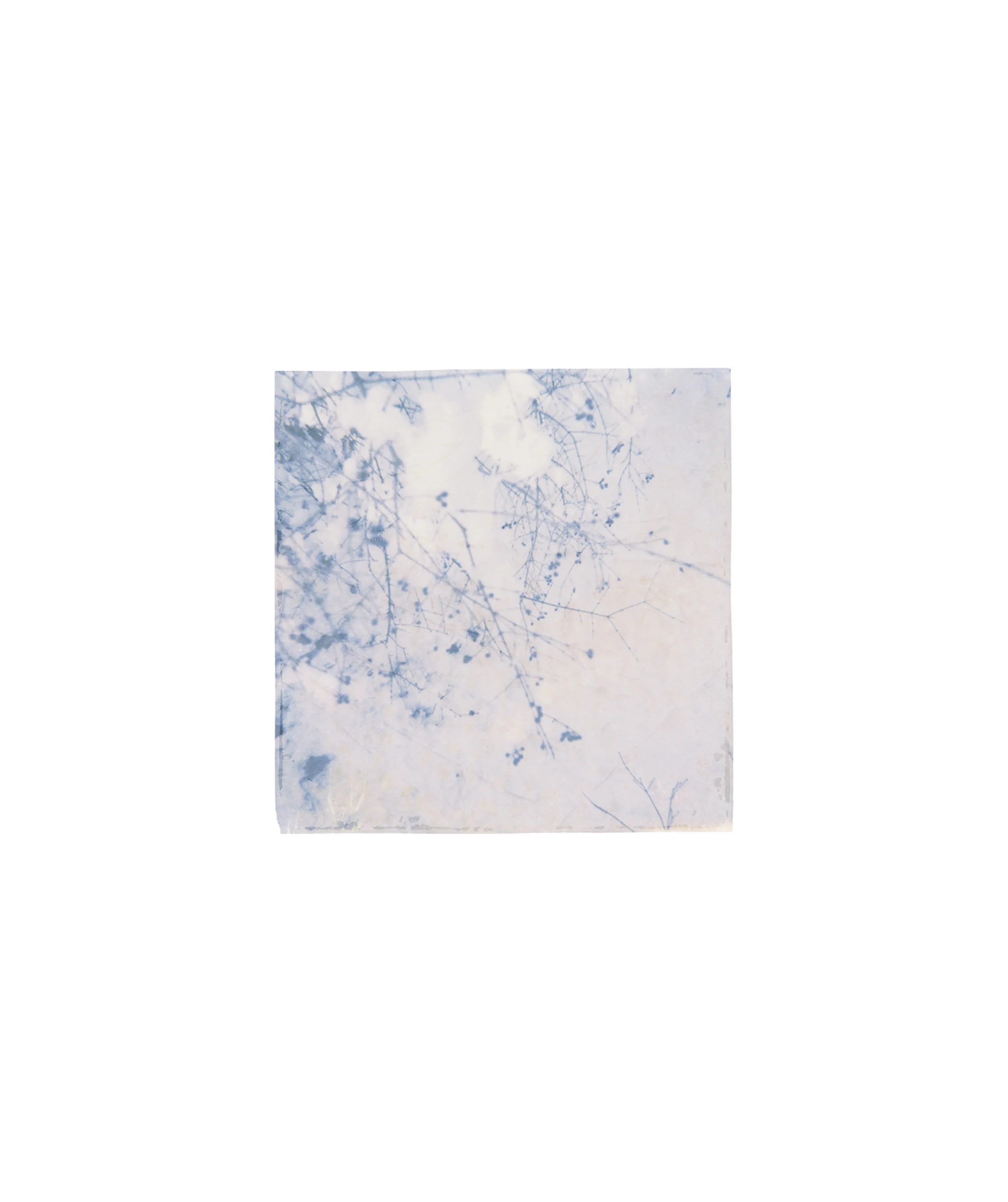 Emulsion Lift_2.jpg