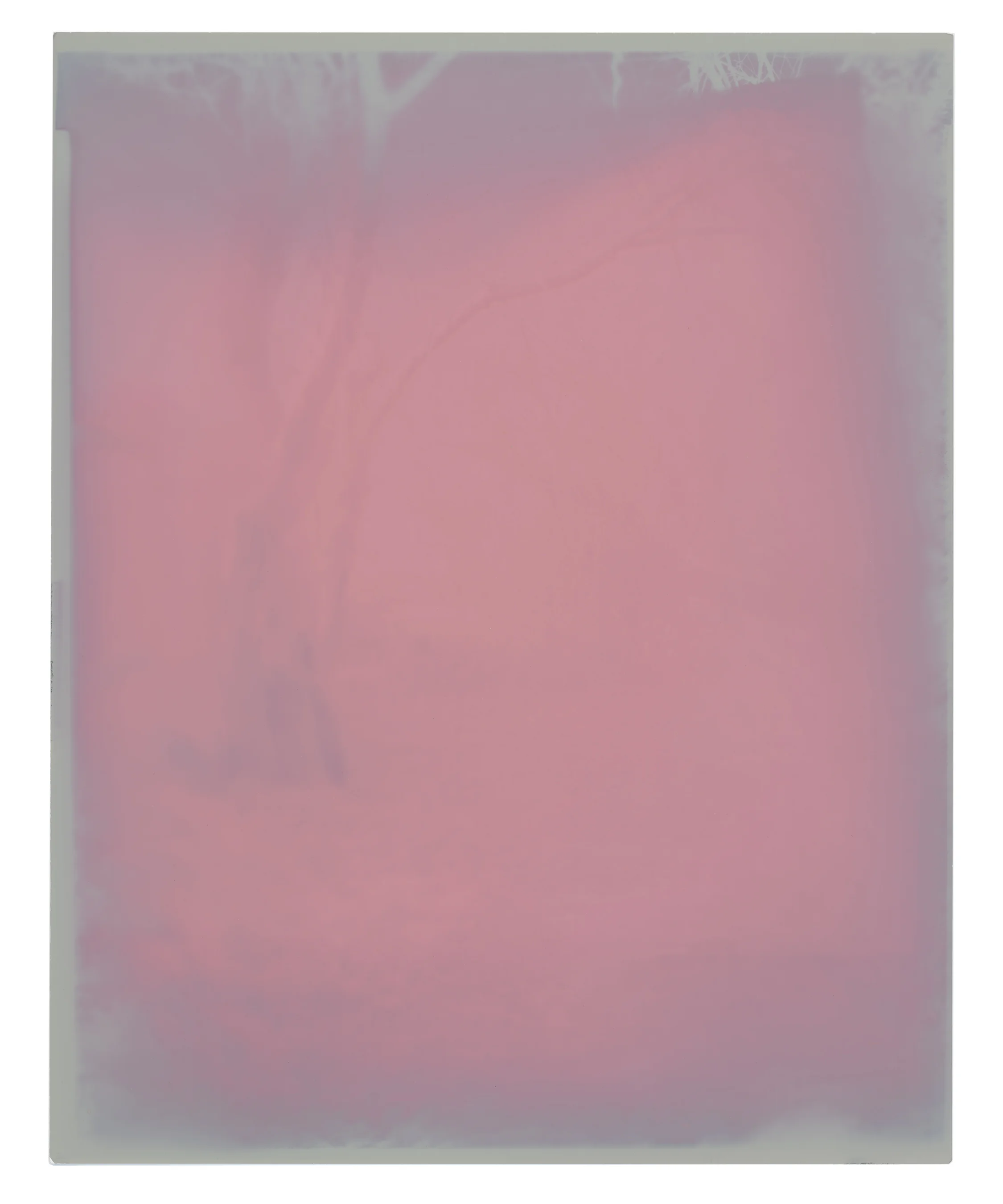 Photogram_12.jpg