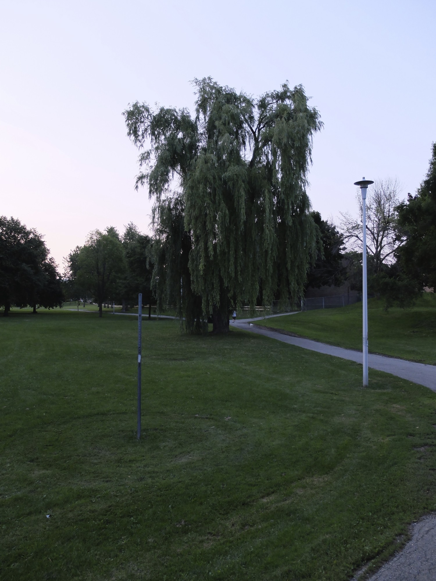 DSCF0181.jpg