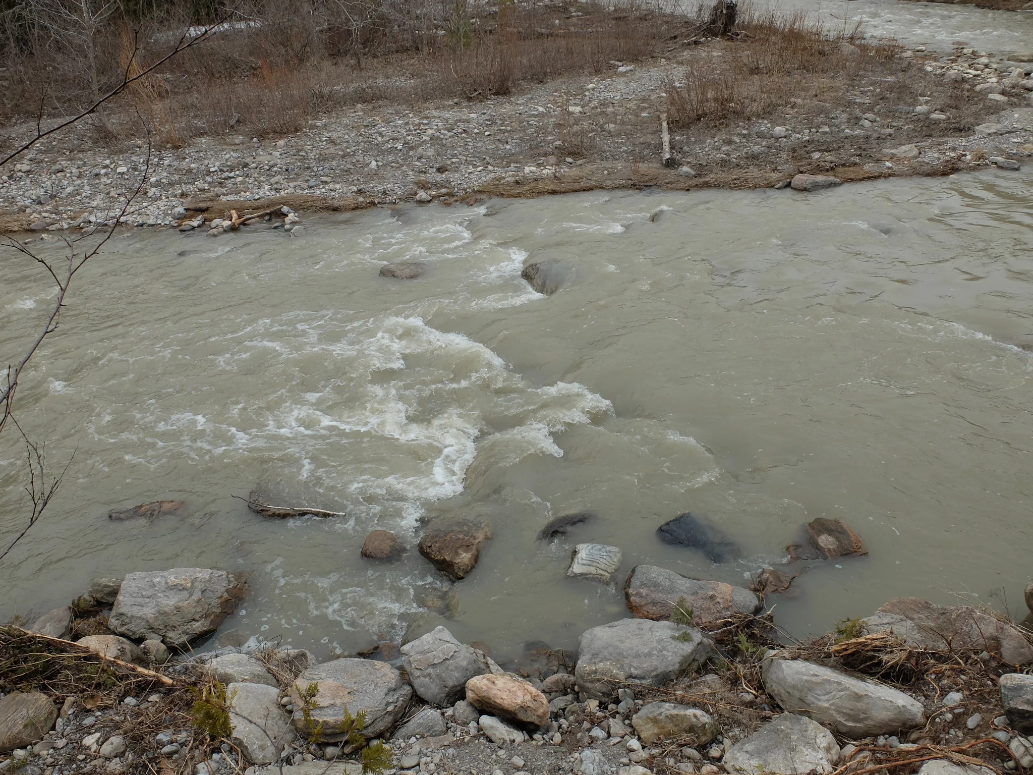 DSCF0679.jpg