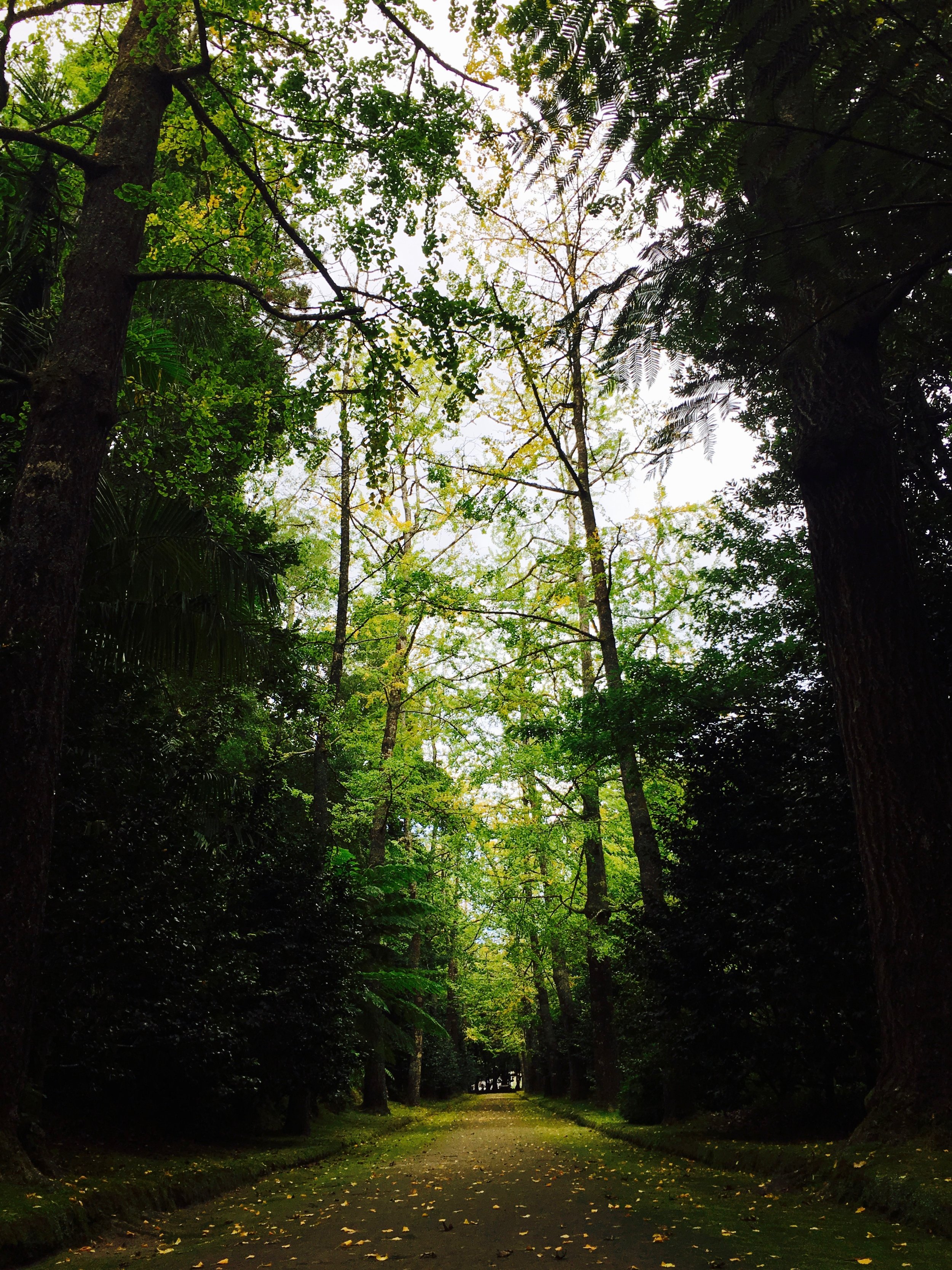 Garden Path