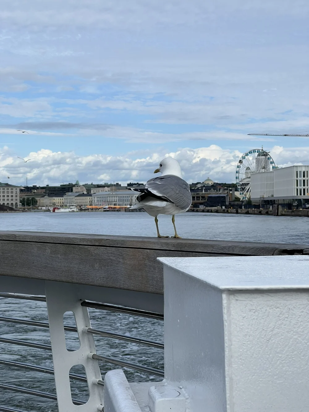 3E3AA80F-1F12-4322-9593-781ABFB7D154_1_102_o.jpeg