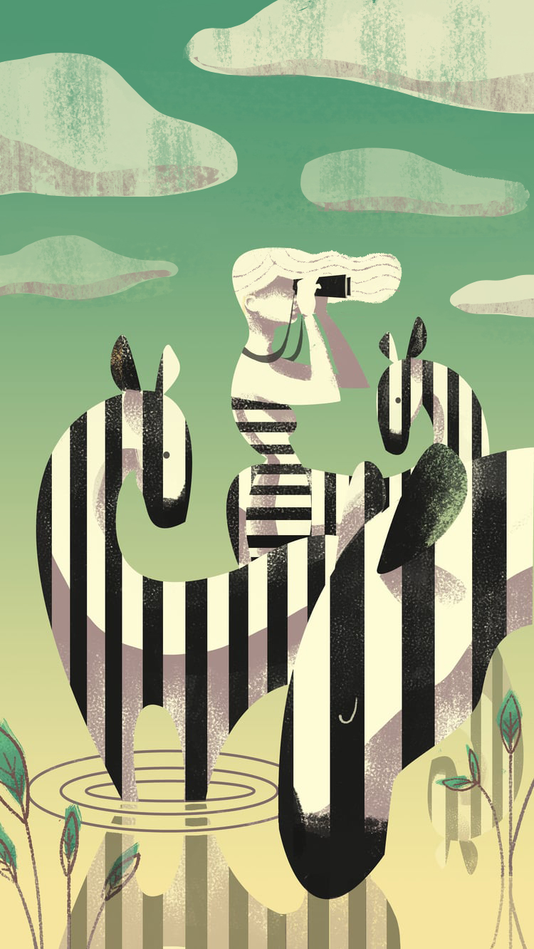 zebra_roundedges.jpg