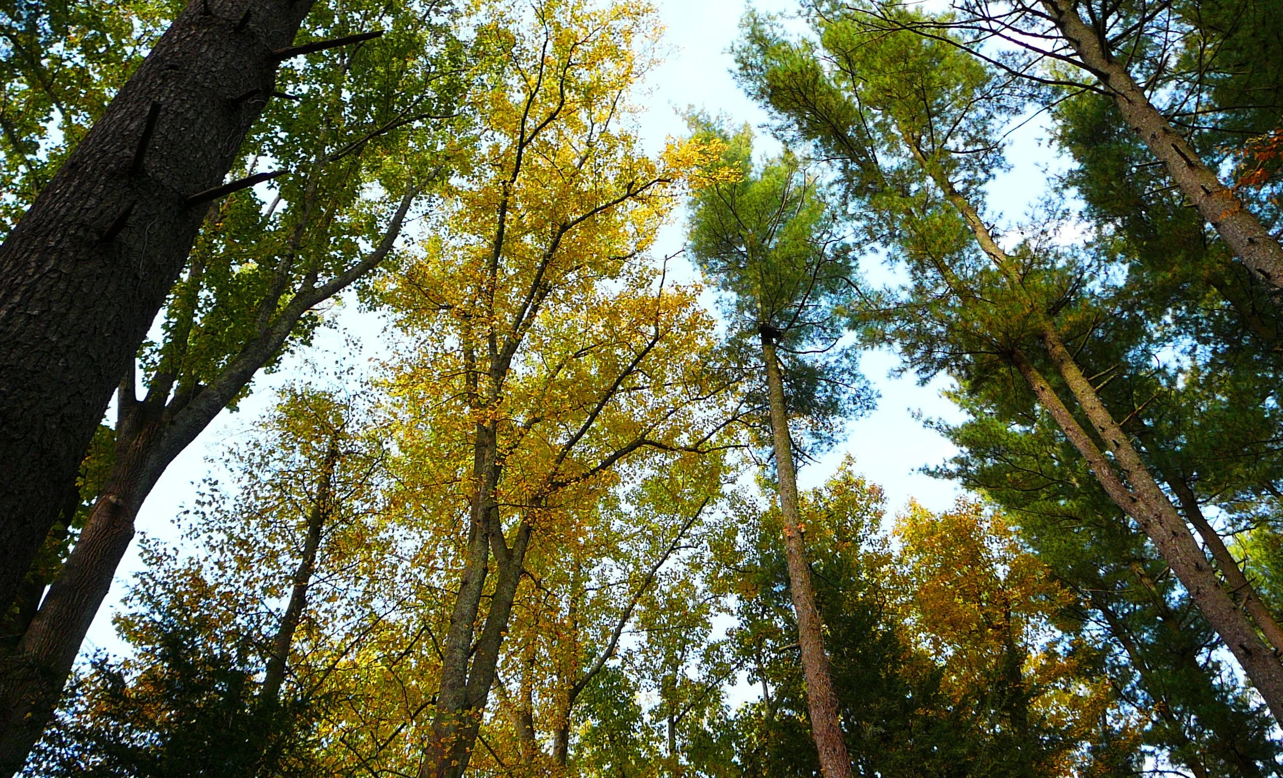 P1000926.JPG