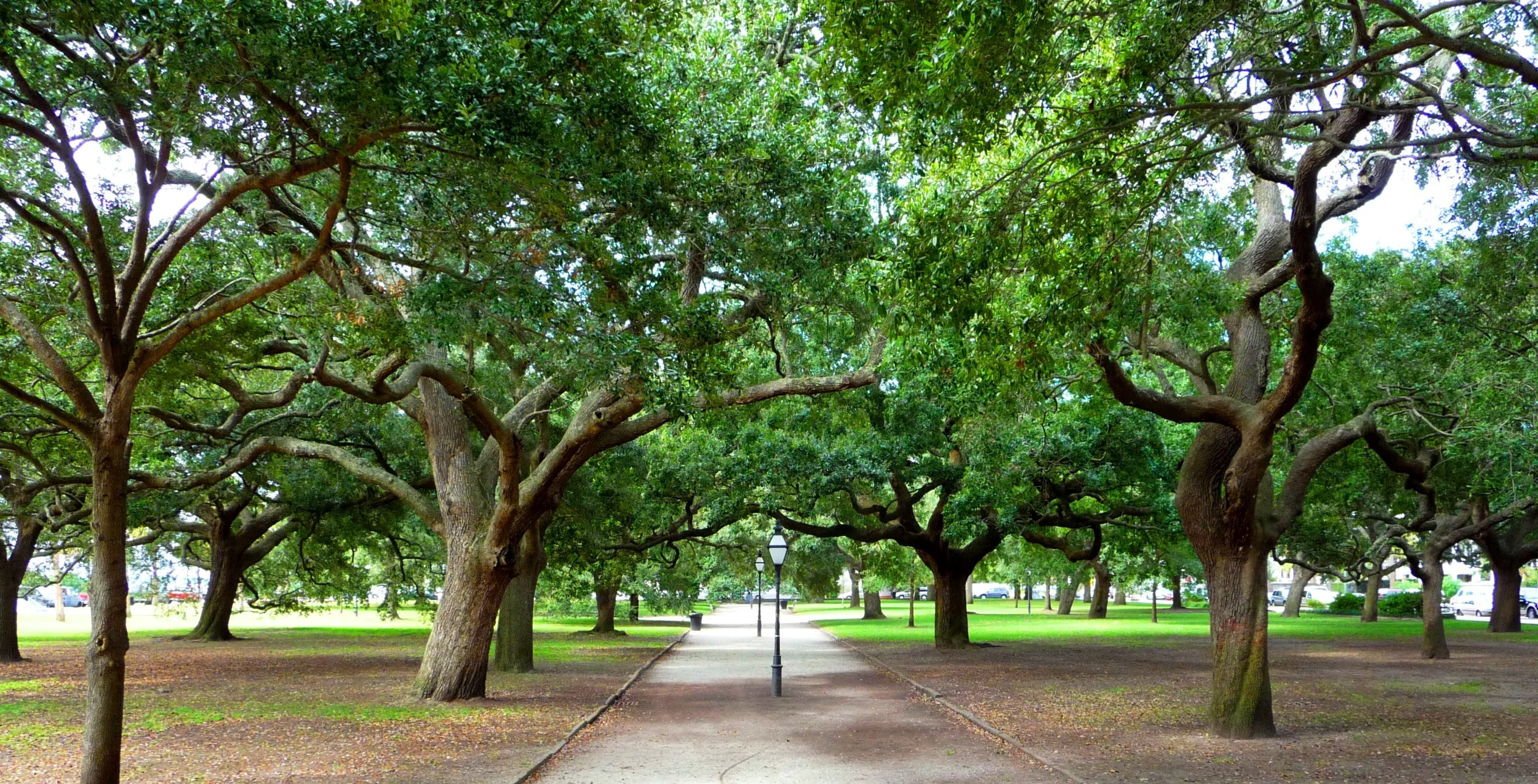 Charleston 103.jpg