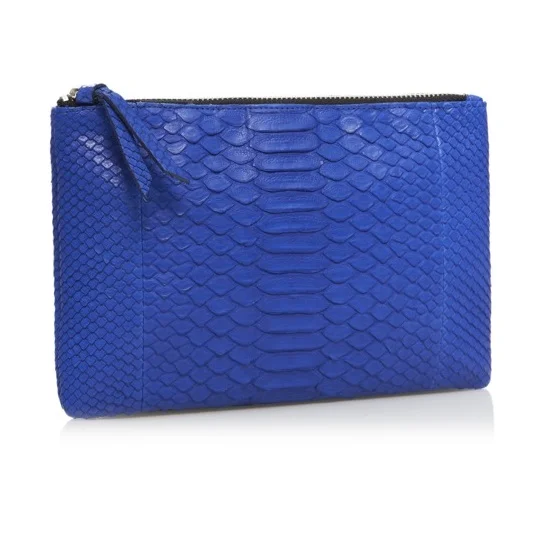 CZ_Electric Blue SS2014 Pouch Small Res.jpg