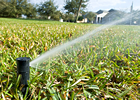 If we could use 2 less gallons of water per day, we could save 60 gallons a month and 720 gallons a year !