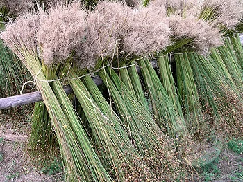 For more interesting information on the linen making process read : http://www.madehow.com/Volume-4/Linen.html