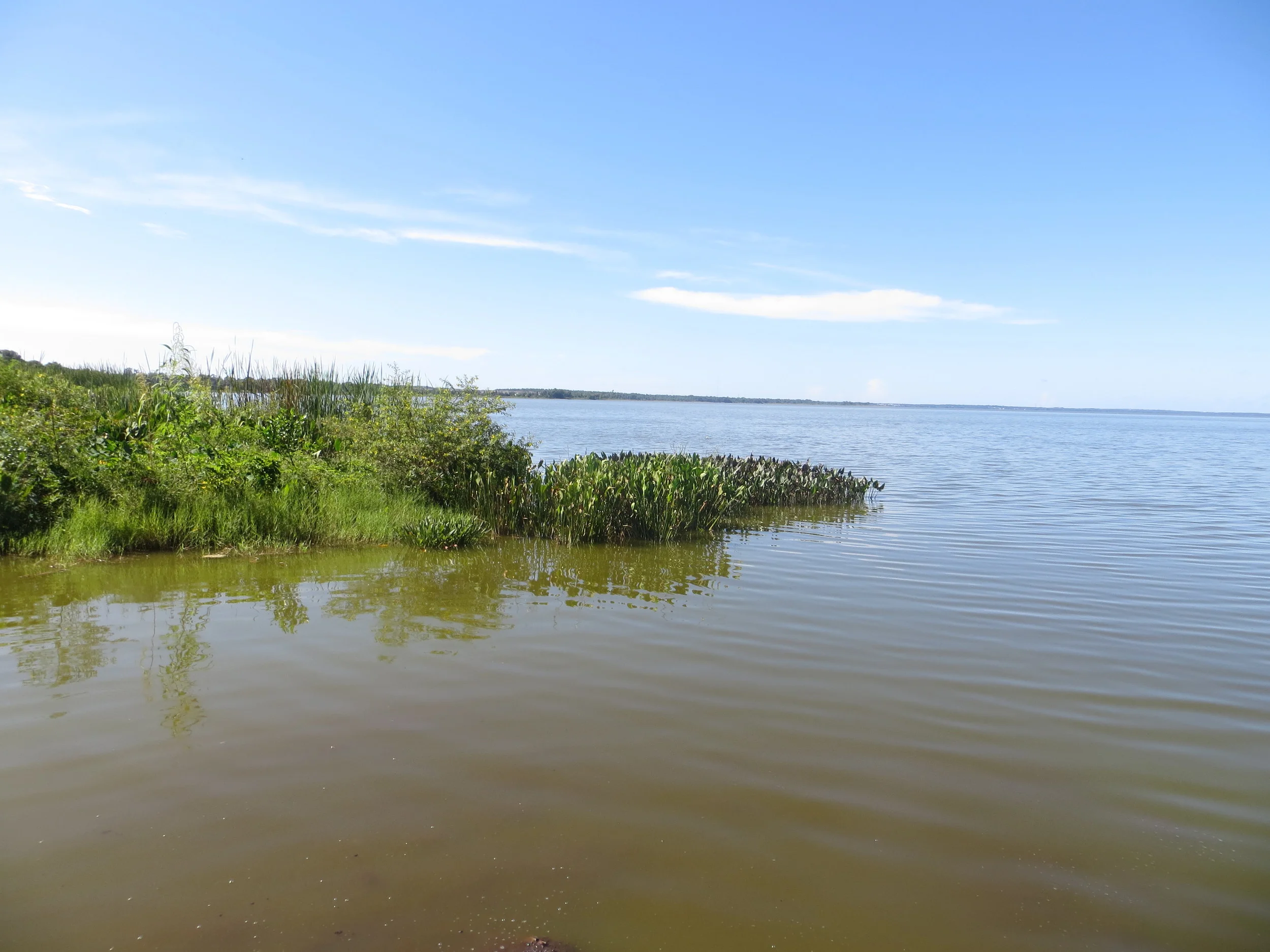 A Drop In The Bucket Can Still Make A Difference