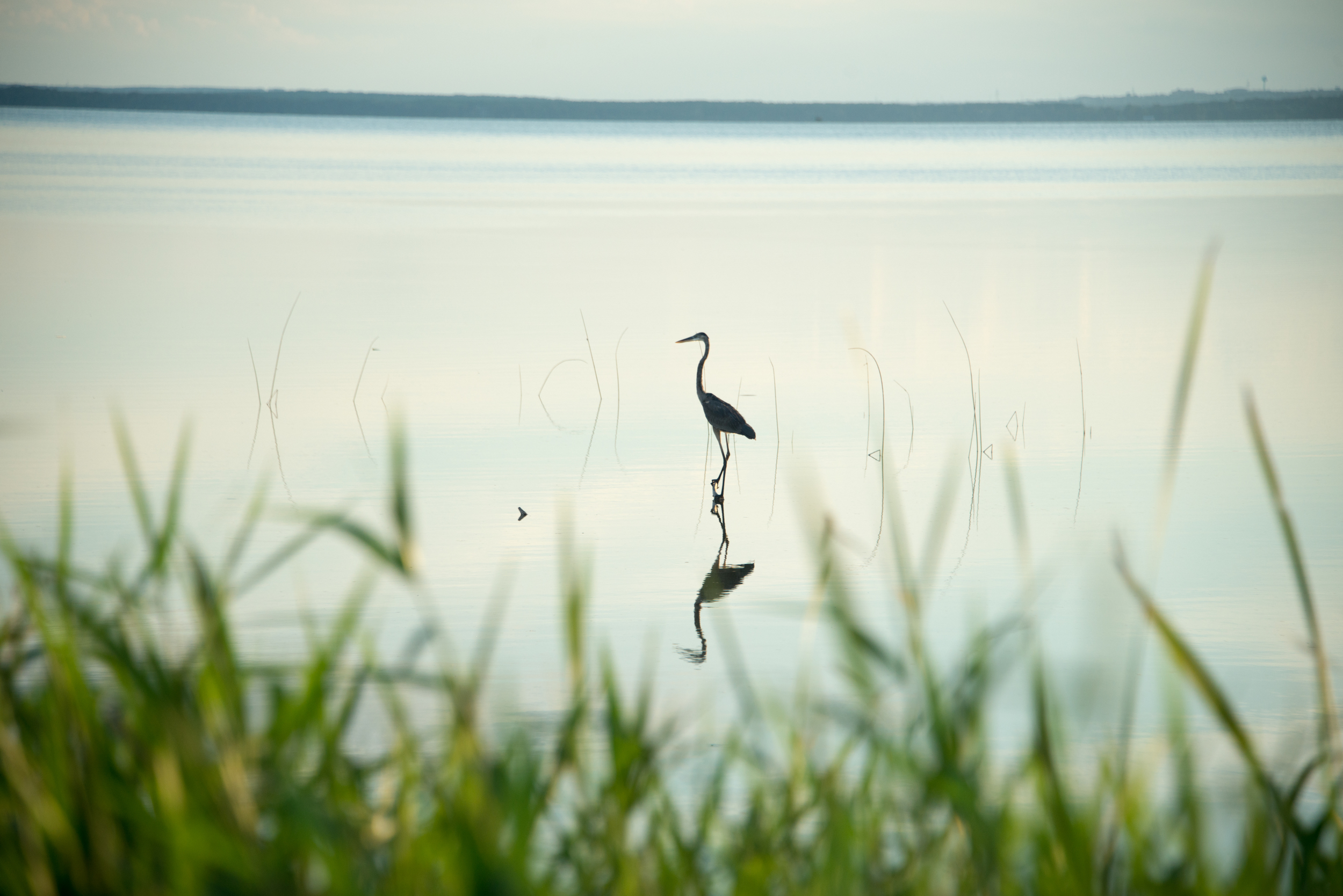 untitled20140921-8435.jpg