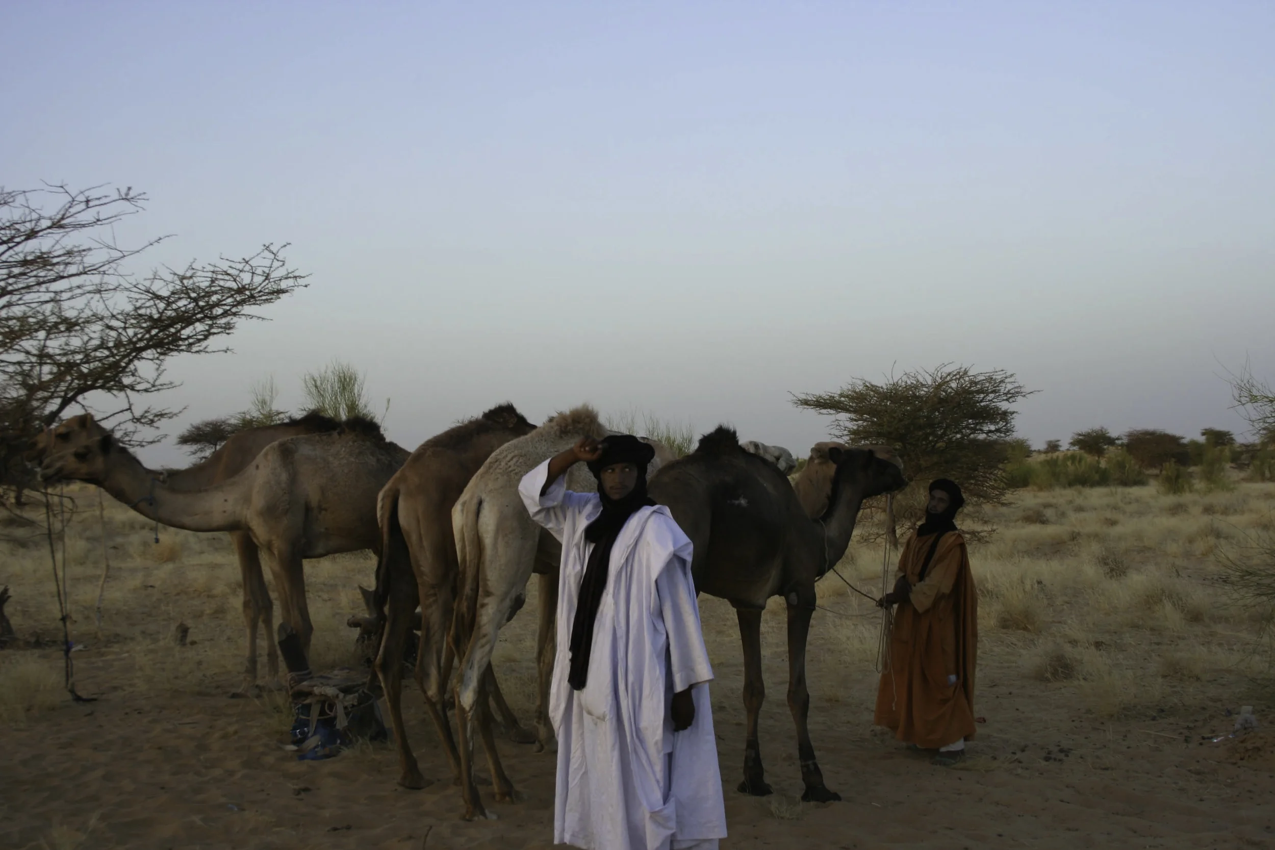 Tuaregs in the Sahara Desert