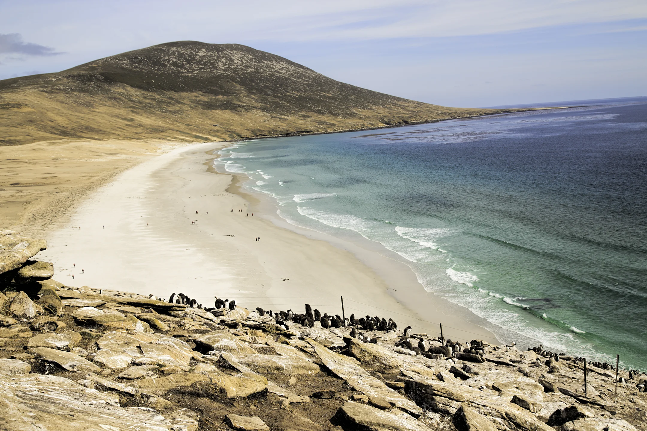 Saunders Island Beach.jpg