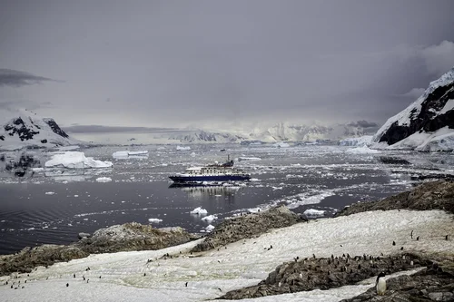 Neko-Harbor-Antarctica.jpg