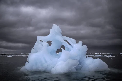 iceberg-cierva-cove-2.jpg