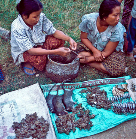 A Trip Down the Mekong River...