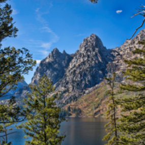 A Trip to Grand Teton 