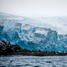 Elephant Island, the Gateway to Antarctica