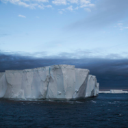 The Tabular Icebergs of Antarctic Sound