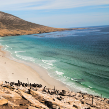 Landfall in the Falkland Islands