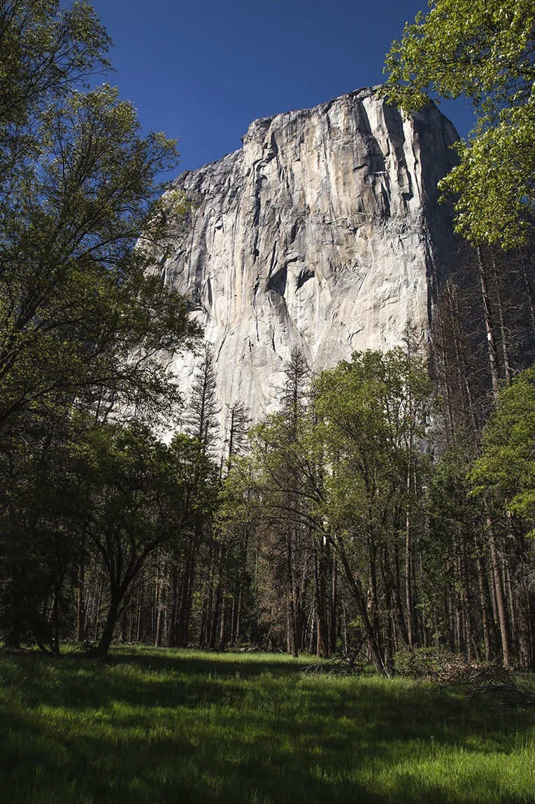 A Memorable Trip to El Capitan, Yosemite National Park